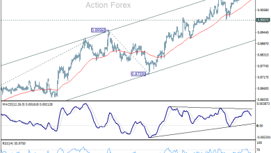 USD/CHF Mid-Day Outlook - Action Forex