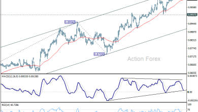 USD/CHF Daily Outlook - Action Forex