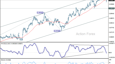 USD/CHF Mid-Day Outlook - Action Forex